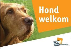 Honden zijn welkom op Domaine Le Sauzet! 