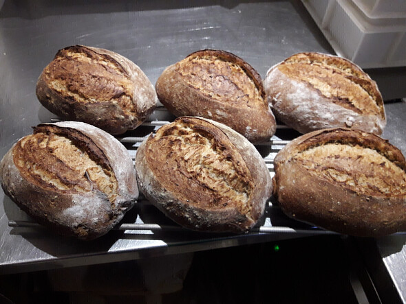 Do-in Yoga verwenweek!!